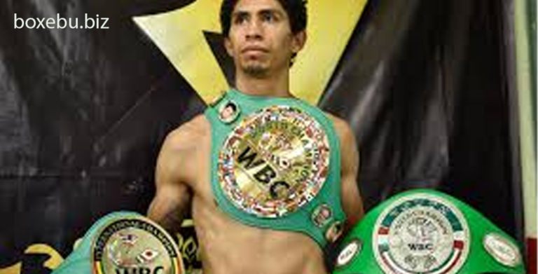 Rey Vargas Pemegang Sabuk WBC Kelas Bulu Pasca Merusak