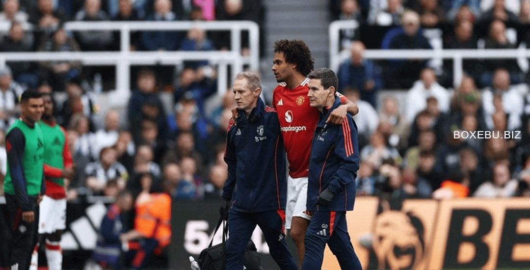 Musim Zirkzee Berakhir Lebih Cepat